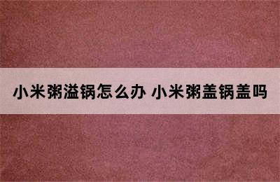 小米粥溢锅怎么办 小米粥盖锅盖吗